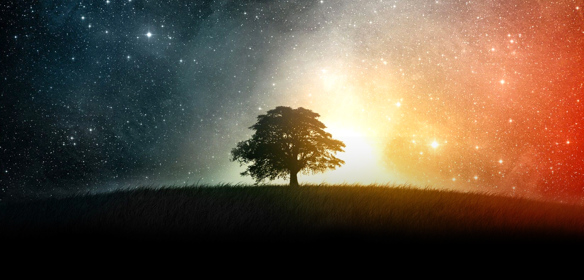Banner_1_opt